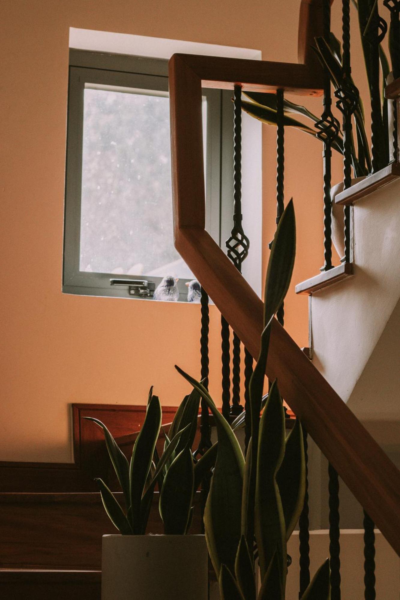 Hotel Du Ciel Da Lat Zewnętrze zdjęcie